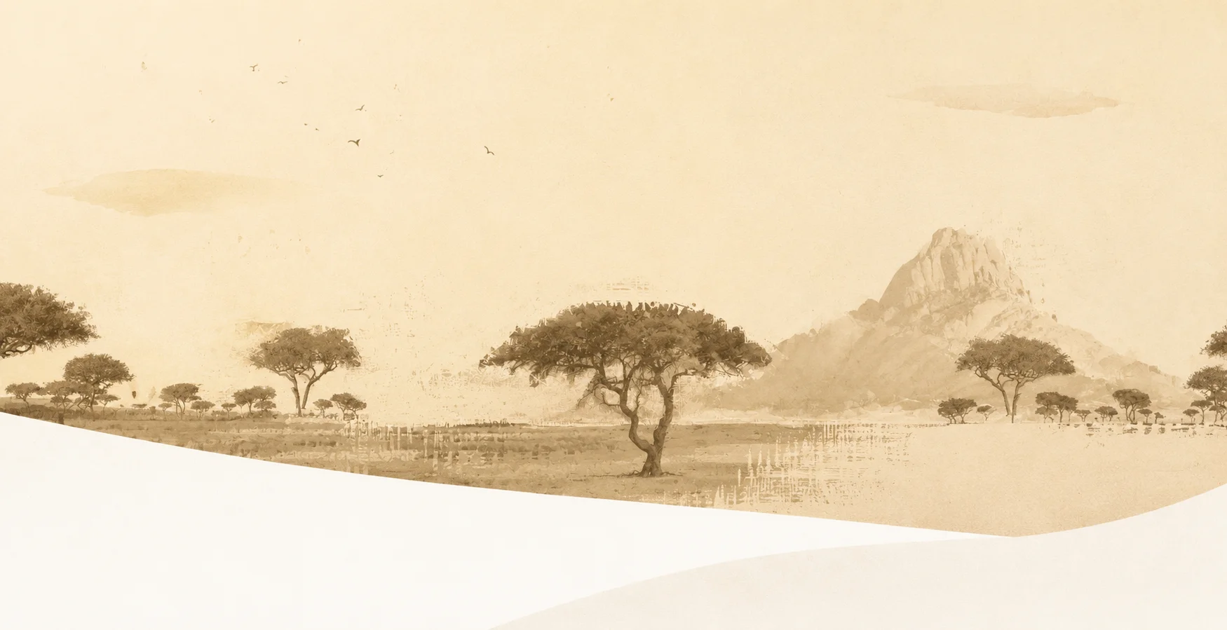 Landing Banner